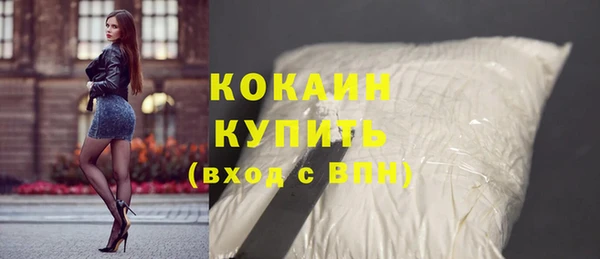 прущие грибы Горнозаводск