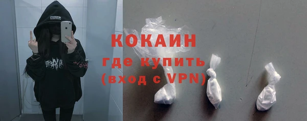 прущие грибы Горнозаводск