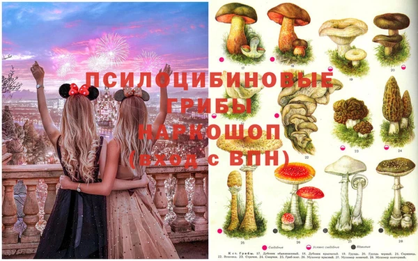 spice Горняк