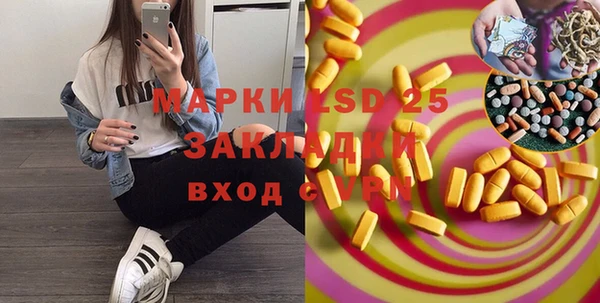 spice Горняк