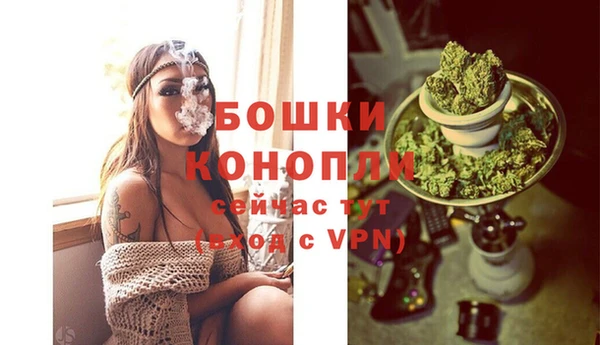 прущие грибы Горнозаводск