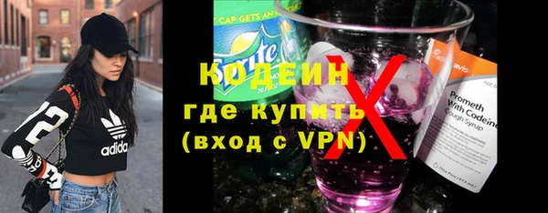 прущие грибы Горнозаводск