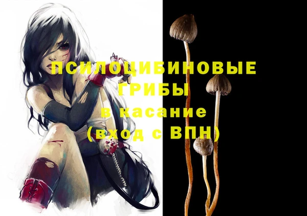 spice Горняк